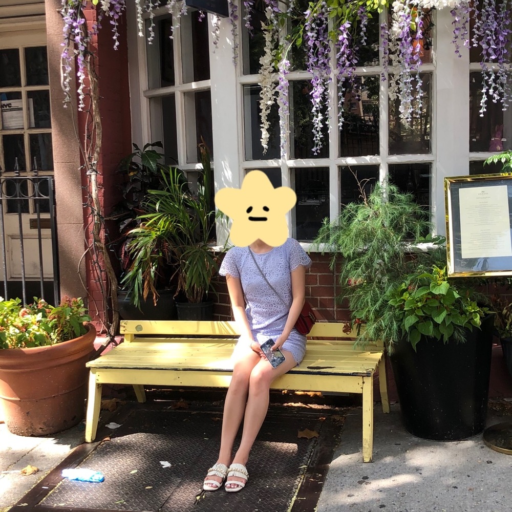 Ann Taylor Lace Dress